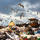 Garbage business in Russia excludes environmental concerns
