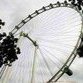 World's largest Ferris wheel to be built in Moscow