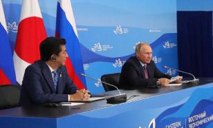 Putin offers Japan to conclude peace treaty in 2018