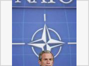 NATO: too much fuss and petty achievements