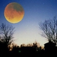 Rare astronomical phenomenon known as Moon Illusion to occur in Russia this week
