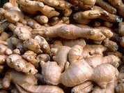 Ginger hundreds times more effective in destroying cancer cells