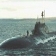 Tiger Submarine Celebrates Tenth Anniversary