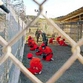 Guantanamo, The United States' Auschwitz