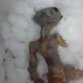 Dead Siberian alien appears to be fake?