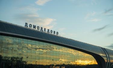 Sheremetyevo Subsidiary Acquires Domodedovo Group Assets at Auction