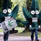 Global Marijuana March 2011 to be held in Moscow?