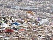 Scientists investigating the impact of plastic