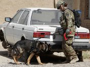 USA in Afghanistan: To lose without losing face