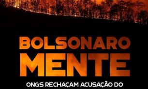 Bolsonaro doesn't need NGOs to burn Brazil's image around the world