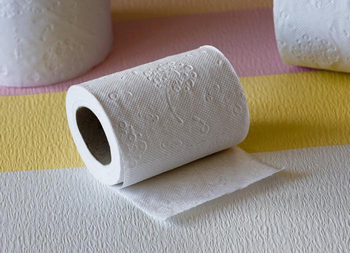 Man sentenced to 18 months of community work after toilet paper stunt goes wrong