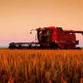 Russian Agriculture Census to be Held Soon