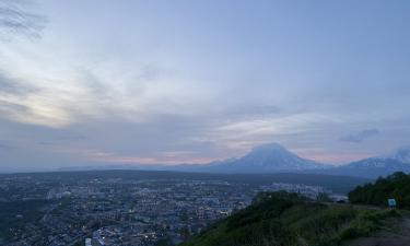 Kamchatka Rescuers Save Two Dogs Drifting on Ice Floes