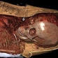 New scanning technology reveals remarkable details of mummified Egyptian child