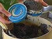 Deadly caviar no longer a threat