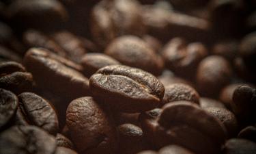 Specialty Coffee as Culture of Taste: From Erna Knutsen to Third Wave