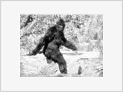 Fossett’s searches may solve Bigfoot and Loch Ness monster mysteries