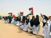 Decolonization of Western Sahara, the world's debt to the Saharawi people
