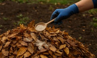 From Trash to Treasure: How to Transform Autumn Leaves into Rich Compost for Your Garden