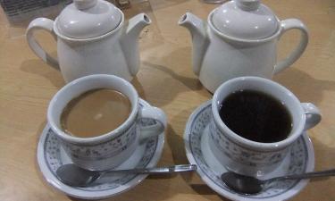 Scientists Identify Ideal Daily Ratio of Tea, Coffee, and Water to Prolong Life