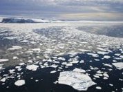 New study confirms rapid melting of the Arctic