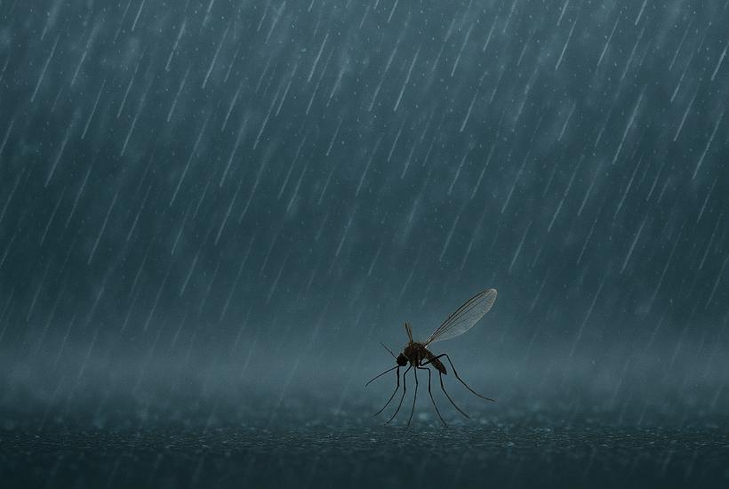 Tiny 40-Gram Drone Targets Mosquitoes With Ultrasonic Precision