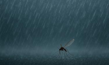 Tiny 40-Gram Drone Targets Mosquitoes With Ultrasonic Precision