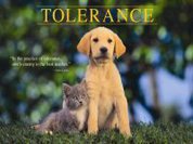 Tolerance is an act, not a day
