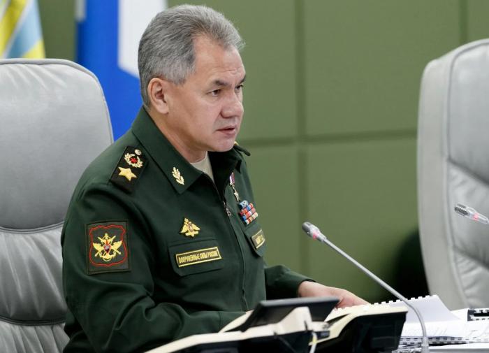 Russian Defence Minister Shoygu delivers special report to Putin
