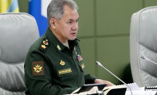 Russian Defence Minister Shoygu delivers special report to Putin