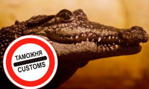 Two Siamese crocodiles arrested at Yekaterinburg airport