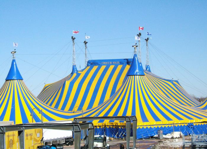 Russia considers banning use of animals for circus shows