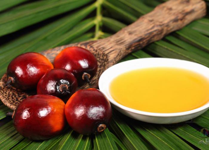 Russia reduces imports of palm oil