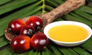 Russia reduces imports of palm oil