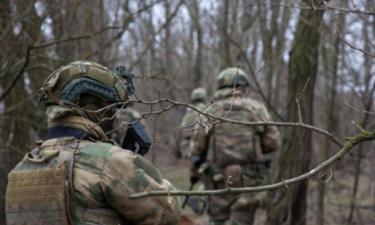 Decapitated bodies of foreign mercenaries found in Kursk Region