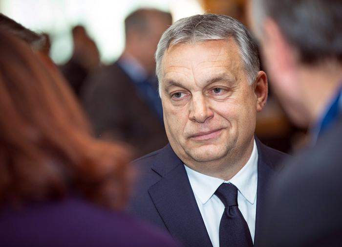 Hungarian Prime Minister Orban goes to Kyiv to talk Zelensky into peace