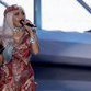 Lady Gaga's meat dress sparks controversy