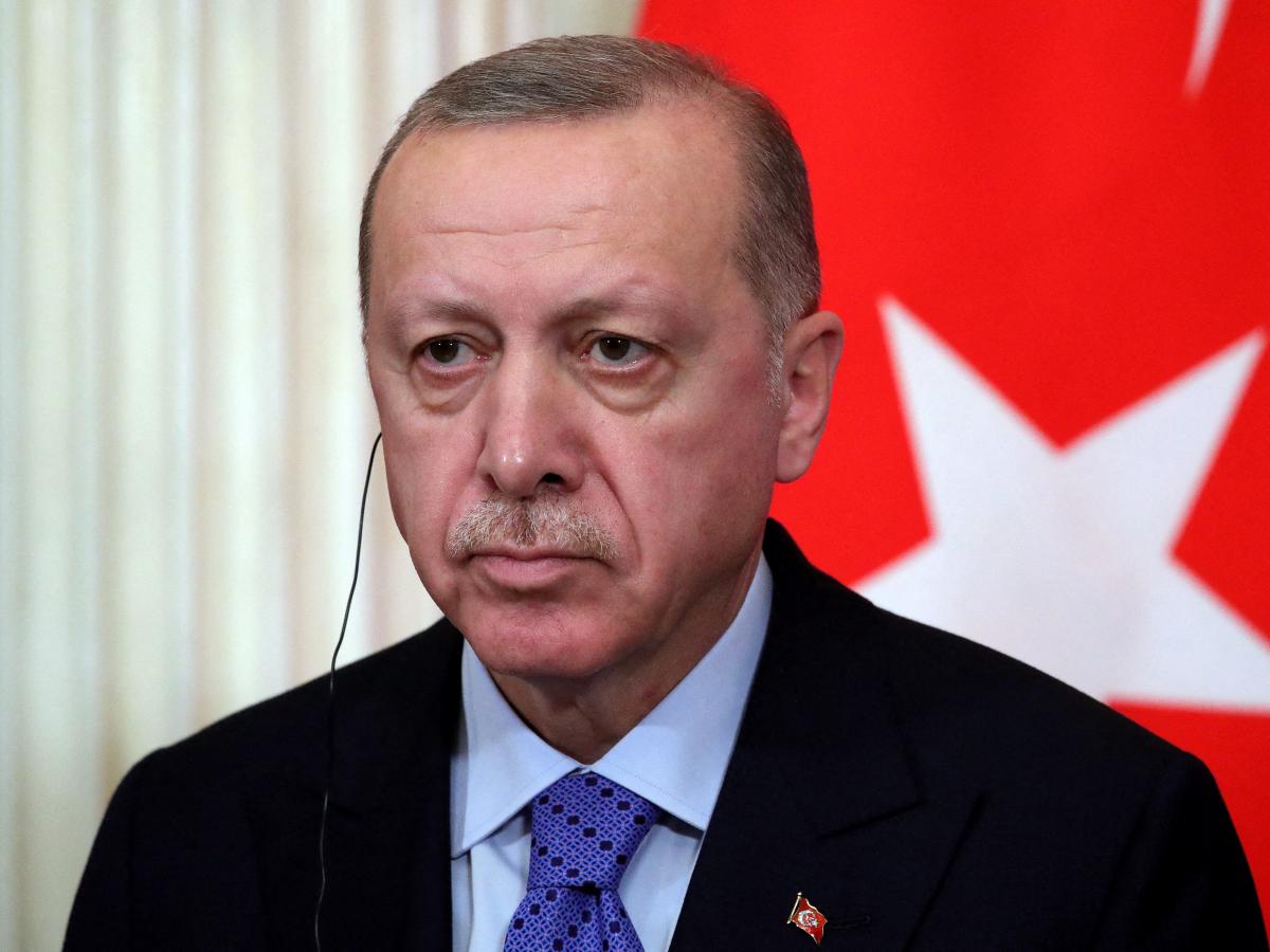 Erdogan: Putin and Zelensky Not Ready for Direct Peace Talks