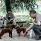 Shanghai establishes one dog only policy