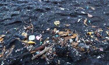 River of Waste: Tons of Garbage Drift Along Tisza from Ukraine to Hungary
