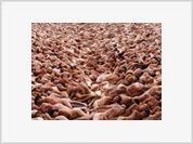 Spencer Tunick comes to Moscow for intimate photo shoot with ten models only