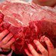 Red meat and processed meat increases risk of developing colon cancer