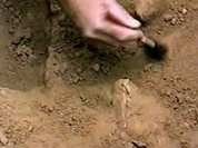 Aryan burial found in Russian city of Omsk