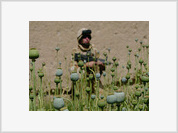 “Death to America” Fury at NATO Massacre in Kandahar