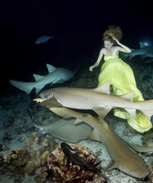 Woman in yellow dancing with sharks