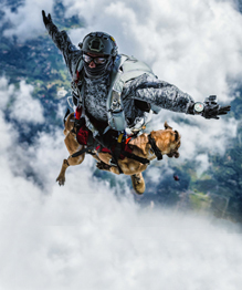 Siara, a skydiving dog