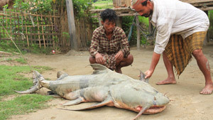 Indian villagers catch river monster