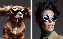 Toothless Toast stars in luxury eyewear campaign