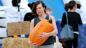 Celebrities busy with pumpkin shopping